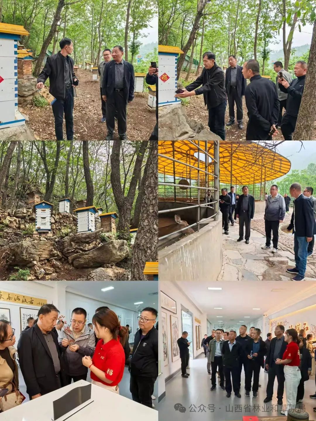 简篇-长治市规划和自然资源局赴晋城市观摩学习集体林权制度改革工作